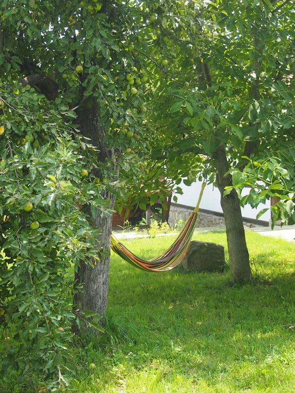 Terra House Hotel Mindya Екстериор снимка
